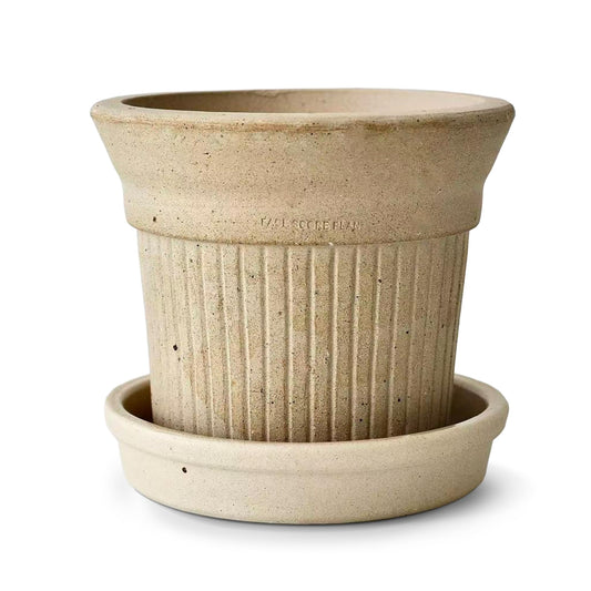 SHIMOST 8 Inch Clay Planter with Saucer Unglazed White Terracotta Pot with Drainage Hole Rustic Weather-Resistant Plant Pot for Indoor Outdoor Use Ideal for Home Office Patio Garden