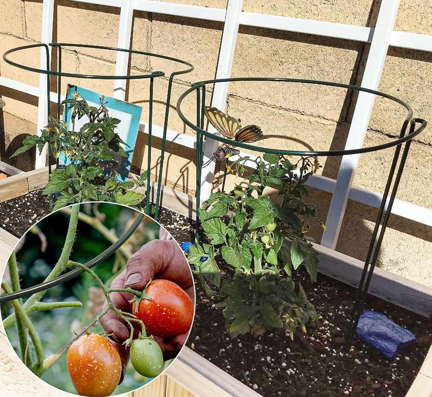 TCBWFY 20 Pack Plant Supports Stakes for Large Heavy Plants, 16"Hx10"D Peony Supports,Heavy Duty 4mm Wire Peony Cages,Interlock Garden Supports Ring Border Support,Plant Support Cage for Rose Flowers