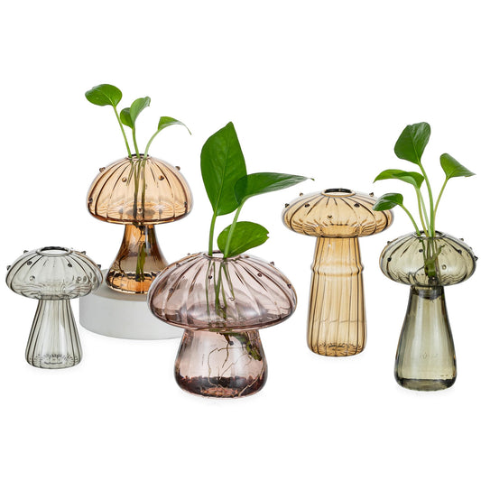Hewory Glass Mushroom Propagation Stations: Set of 5 Unique Propagation Jars Glass Planter for Indoor Plants Home Decor - Amber Mushroom Vase Christmas Birthday Gifts for Plant Lovers Women Girls
