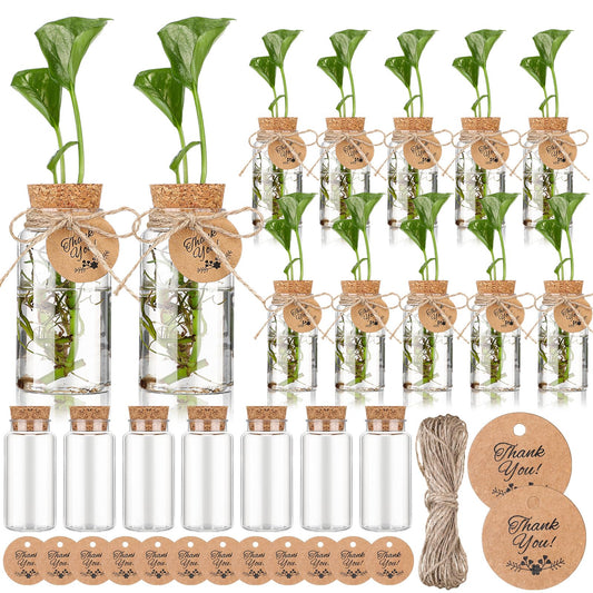 Baderke 24 Pack 3.54'' Plastic Plant Propagation Stations with Hole Lid 4oz Planter Vase Clear Propagation Jars with Thank You Tags for Plant Lover Gifts for Women Office Home Garden(24 Pack)