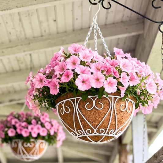 LaLaGreen Hanging Baskets for Plants (2 Pack, 12 Inch) Hanging Flower Pots with Coco Liner, White Metal Wire Round Basket Plant Holder with Hanger Hook Chain Outdoor Deck Patio Balcony Garden Decor