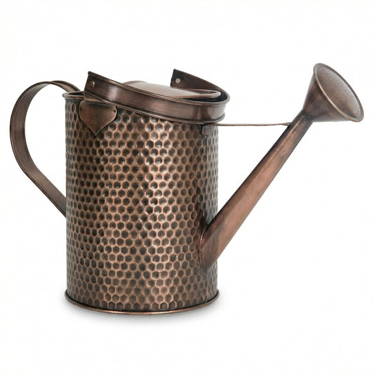 Gardenised 1 Gallon Galvanized Metal Watering Can with Removable Long Spout & Sprinkler Head for Indoor & Outdoor Use Ideal for Garden Flowers Potted Plants Houseplants Modern Home Accessories, Brown