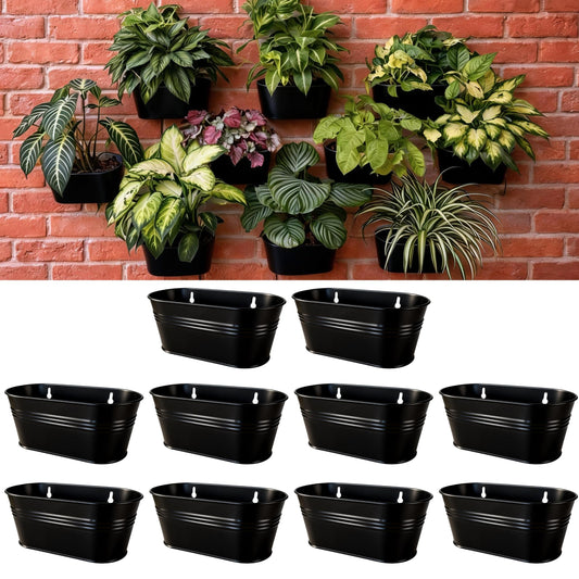 LaLaGreen Wall Planter (9.8 Inch, 10 Pack) Black Oval Metal Hanging Decor Plant Holder Wall Planters for Indoor Plants Balcony Decoration Porch Plants Pots Mounted Indoor Window Planters Pot Baskets