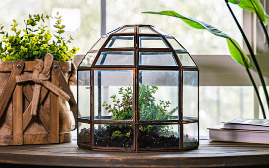 Urban Born Large Terrarium Birdcage, Glass and Metal Indoor Display Case, Unique Gift Idea, Succulent Container, Orchid Planter, Home Decor. (Bronze) 10" x 9"(Diameter)
