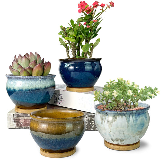 Summer Impressions 5.5 Inch Succulent Pot with Drainage and Saucer Glazed Terracotta Round Ceramic Succulent Planter Cactus Bonsai Plant Pot (Set of 4)