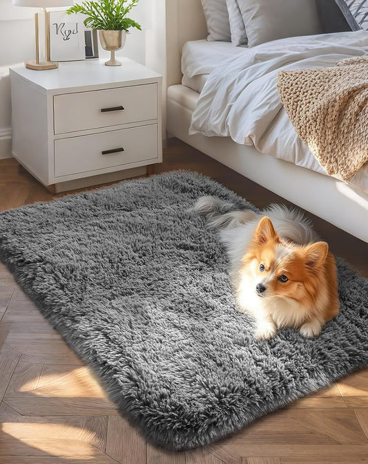 Ophanie Small Non-Slip Area Rug - Fluffy Soft Grey Mini Bedroom Carpet | 2x3 ft Indoor Mat for Home Decor