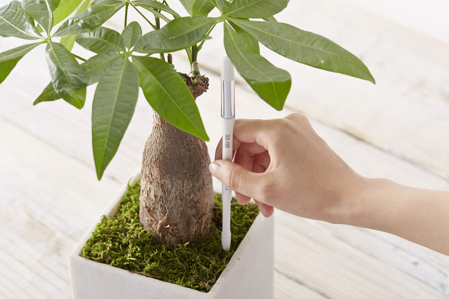 Sustee Aquameter (Medium White Refillable - Bundle of 2) - House Plant Soil Moisture Meter, Humidity Sensor Probe, Water Level Indicator - Best for Indoor Potted Plants