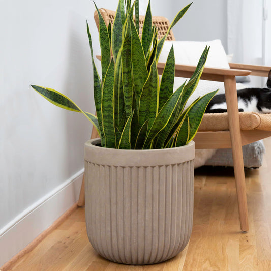Ilyapa 14x14 inch Fluted Large Modern Concrete Outdoor Planter, Large Indoor Plant Pot with Drainage - 14 Inch Pots for Plants, Indoor/Outdoor