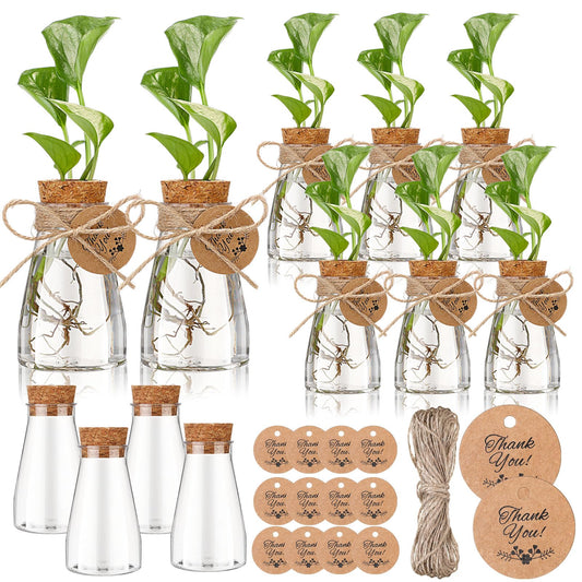Baderke 12 Pack 3.35'' Plastic Plant Propagation Stations with Hole Lid Planter Vase Clear Propagation Jars with Thank You Tags for Plant Lover Gifts for Women Office Home Garden