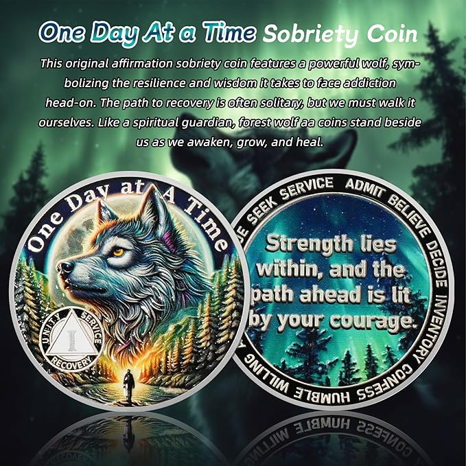 One Day at a Time 1 Year Sobriety Coin - Recovery Aurora Forest Wolf AA Coins - Addiction NA AA Chips and Medallions - Celebrate 1-20 Living Clean Narcotics Alcoholics Anonymous Gifts for Men Women