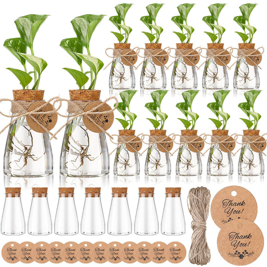 Baderke 24 Pack 3.35'' Plastic Plant Propagation Stations with Hole Lid Planter Vase Clear Propagation Jars with Thank You Tags for Plant Lover Gifts for Women Office Home Garden