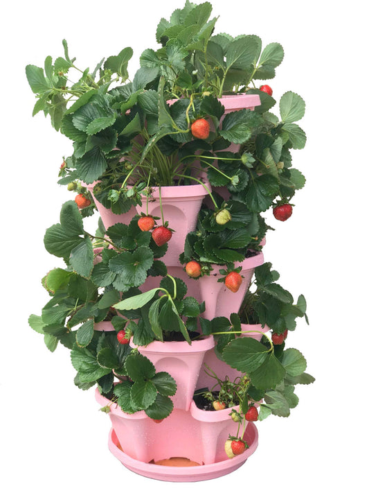 Mr. Stacky 5-Tier Pink Strawberry and Herb Garden Planter - Stackable Gardening Pots with 10 Inch Saucer