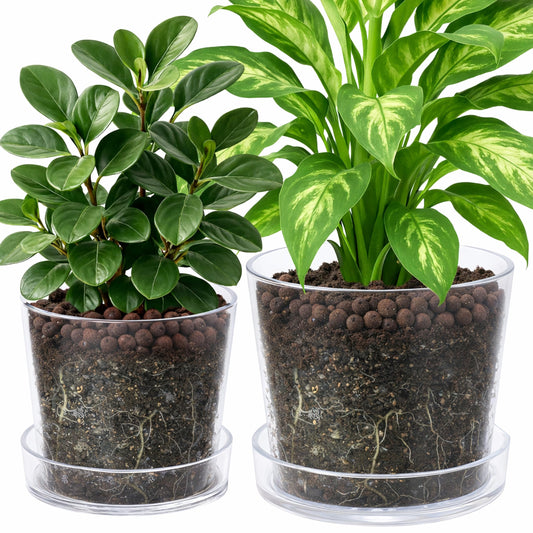 Phoenix Vine 8 Inch 10 Inch Clear Acrylic Houseplants Planter Pot with Tray, Orchid Pot with Drainage Holes, Deep Saucer for Bottom Watering, Transparent Containers for Indoor Plants, Herbs, 91-B-Y