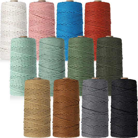 Wesnoy 12 Rolls Macrame Cord, 3 mm x 1308 Yards Natural Cotton Twine, Colored Macrame String, Colorful Cotton Rope for DIY Crafts Knitting, Artworks, Wall Hanging, Plant Hangers (Classic Color)