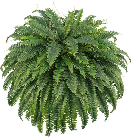 Forest Prince 50" Artificial Boston Ferns - Large Faux Bush Plants with 96 Fronds for Outdoor Decor