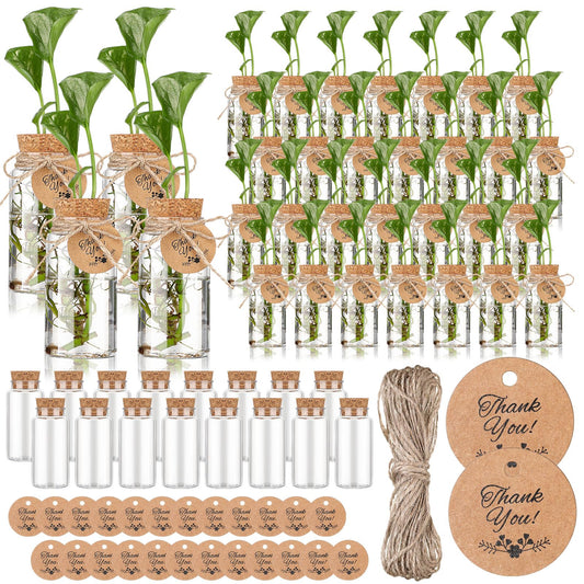 Baderke 48 Pcs 3.54'' Plastic Plant Propagation Stations with Hole Lid 4oz Planter Vase Clear Propagation Jars with Thank You Tags for Plant Lover Gifts for Women Office Home Garden