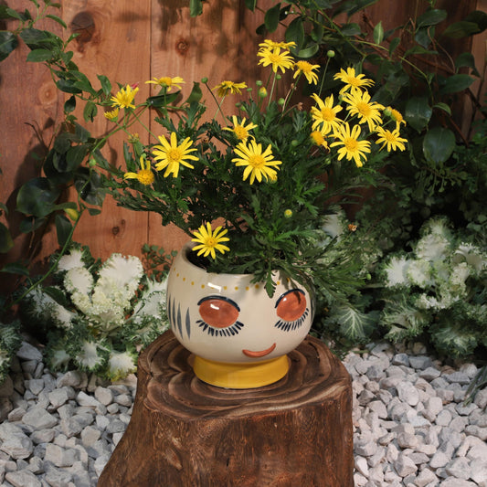 Stoneware Ceramic Planter Pot – Indoor Planter for Plants and Flowers, Shelf, Desk, or Patio Outdoor Decor, Art-Inspired Face Design for Modern Home Decor – 6", Ivory, Yellow, Blue Glaze