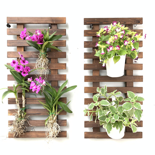 ShopLaLa Wall Planter - 2 Pack Wooden Hanging Planter for Indoor Plants Wall Mount Plant Stand Ladder Outdoor Vertical Garden Unique Live Orchid Planter Holder Display Large Wall Decor 23.6" (60cm)