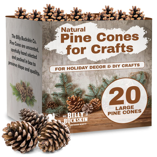 20 Large Natural Pine Cones for Crafts, 3" to 4" Tall Pine Cones Craft for Table, Home Decor, Vase Fillers, Desk & Christmas Trees, Unscented Pinecones Crafts Ornament for Decorating by Billy Buckskin