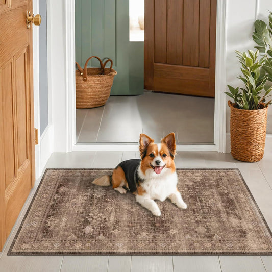 Skiennix Brown Boho Washable Entry Rug - Non-Slip Rubber Backing | Stain & Fade Resistant, 3x4 ft