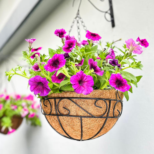 LaLaGreen Hanging Planter for Outdoor Plants (20 Inch, 2 Pack) Hanging Baskets with Coco Liner, Black Metal Wire Flower Basket Pots with Hook Hanger Balcony Porch Farmhouse Country Style Garden Decor