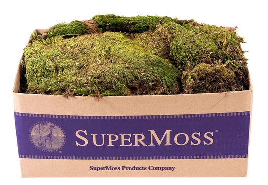 SuperMoss (21537) Mood Moss – Natural Moss for Home Decor, Terrariums, Floral Arrangements, and Craft Projects, 1,564 cu in, Dried